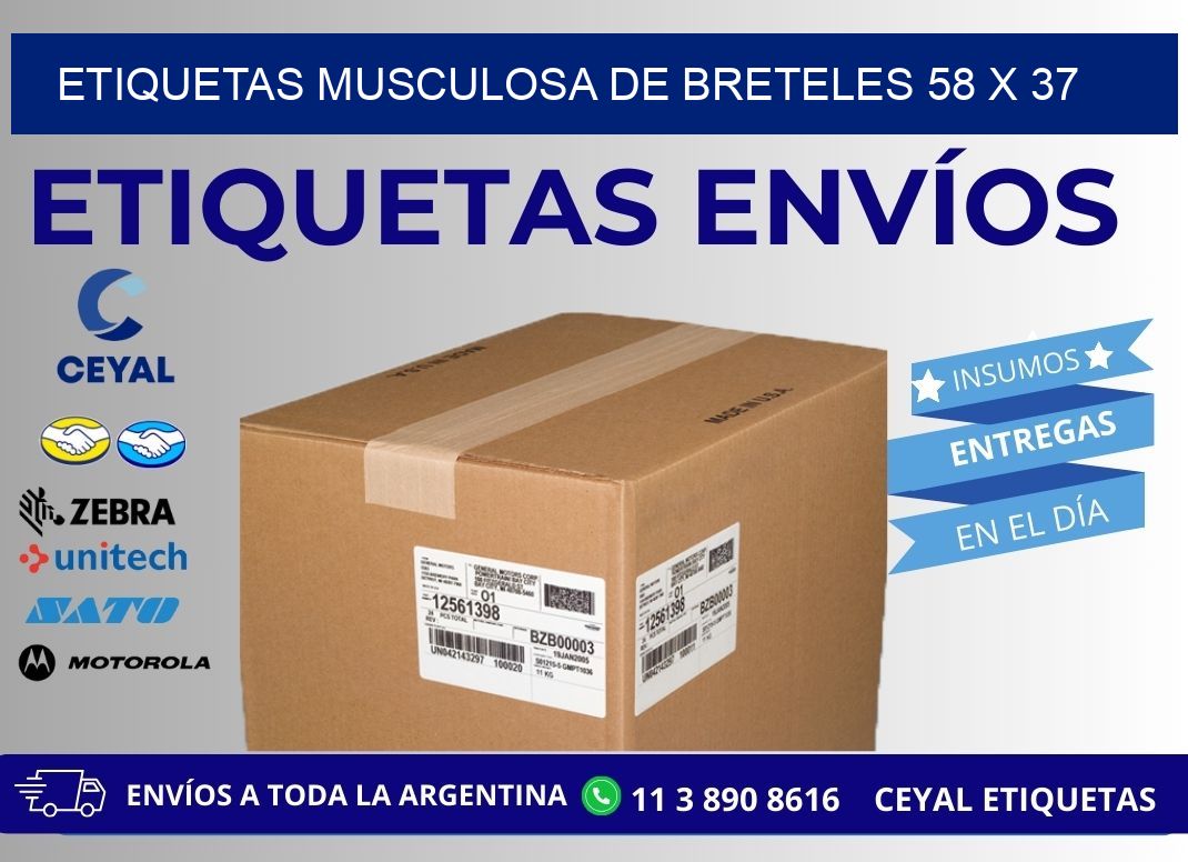 ETIQUETAS MUSCULOSA DE BRETELES 58 x 37