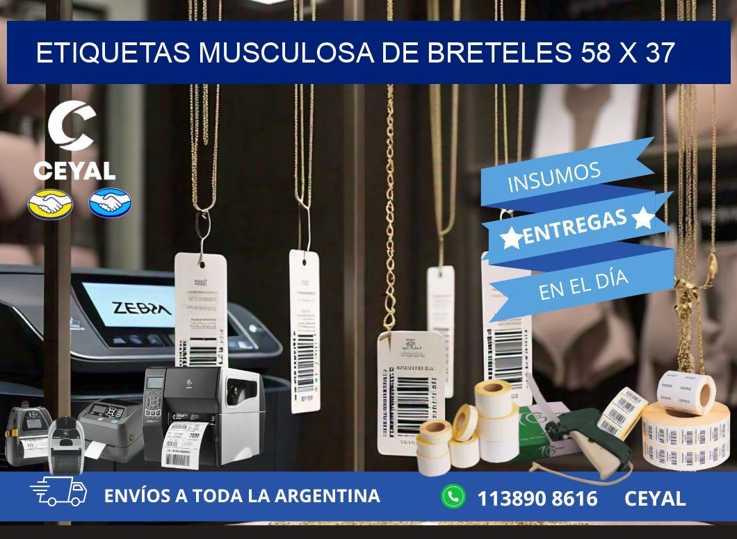 ETIQUETAS MUSCULOSA DE BRETELES 58 x 37
