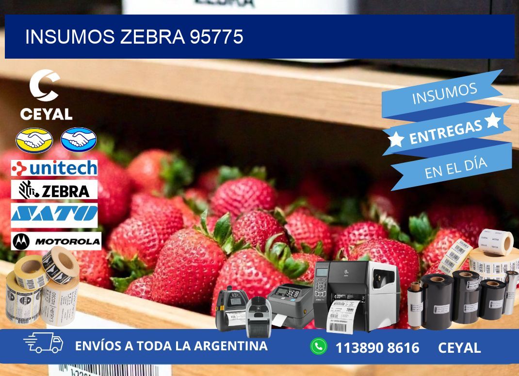 INSUMOS ZEBRA 95775