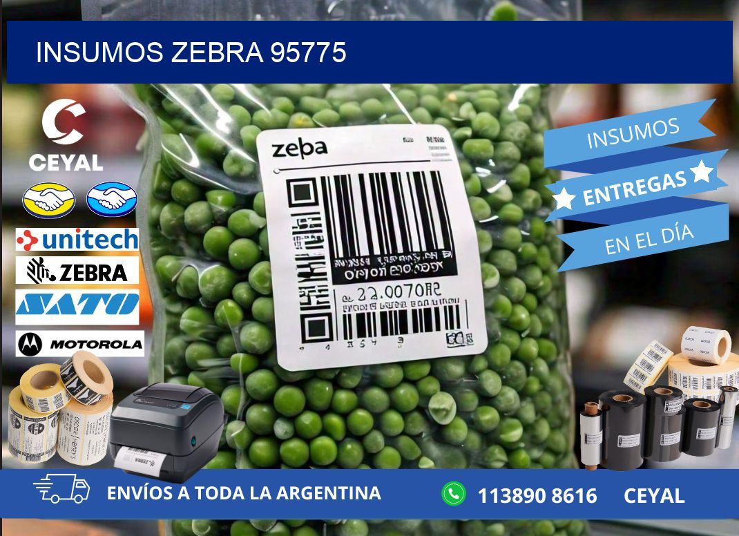 INSUMOS ZEBRA 95775
