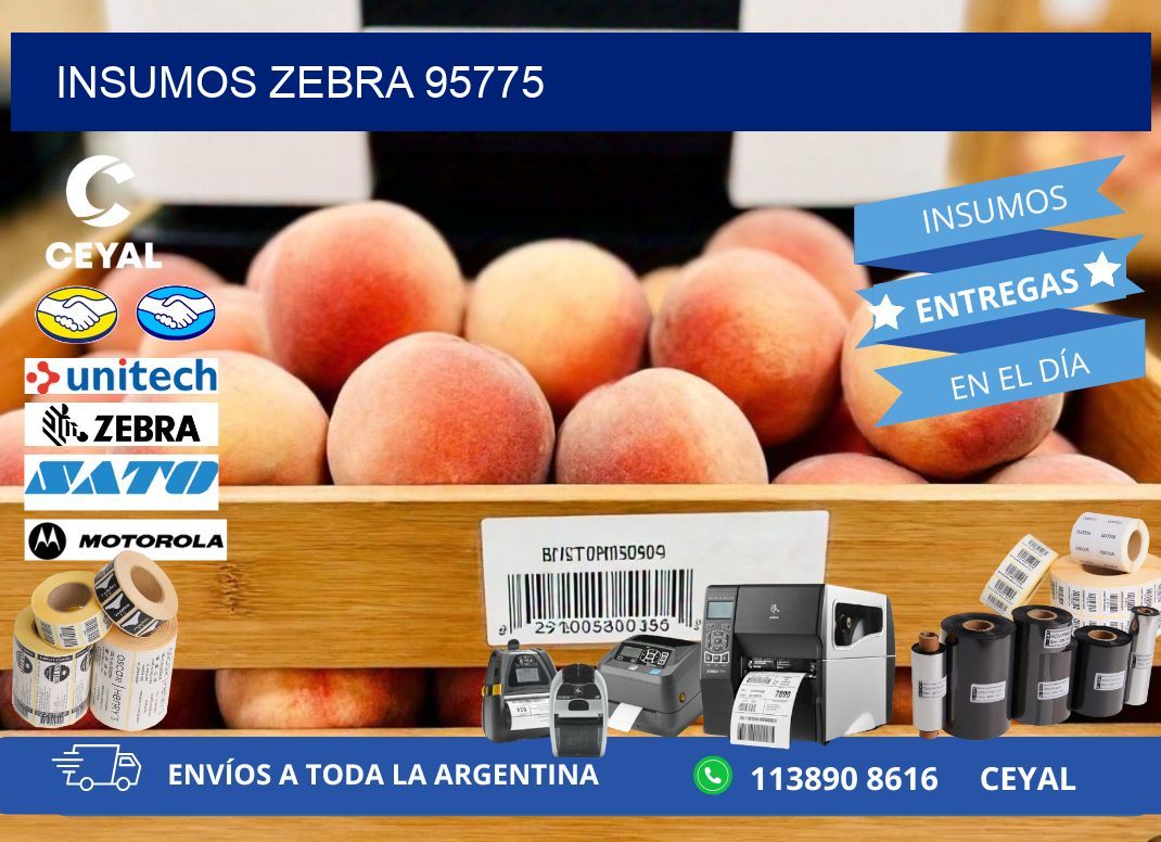 INSUMOS ZEBRA 95775