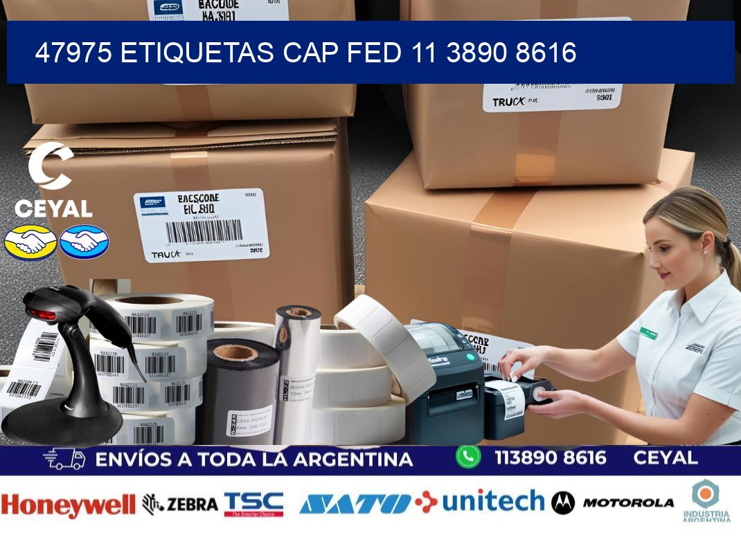 47975 ETIQUETAS CAP FED 11 3890 8616