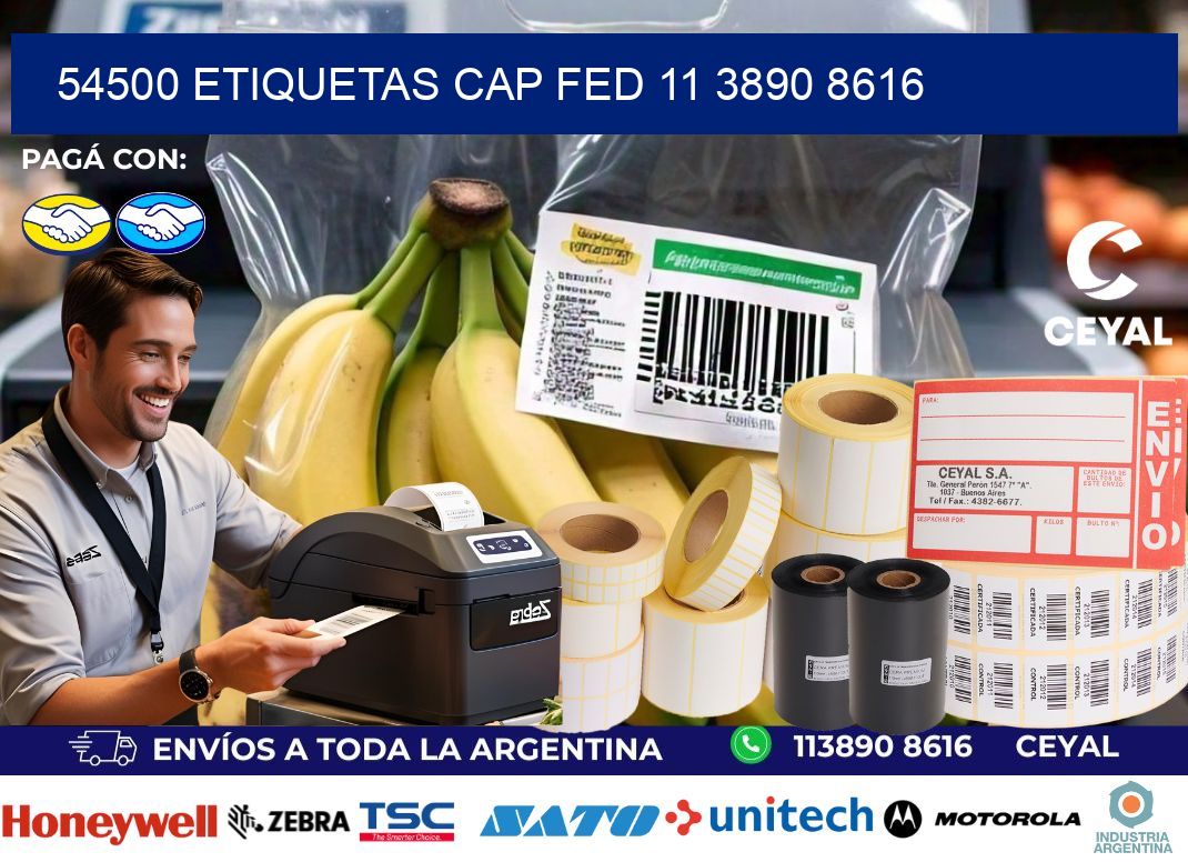 54500 ETIQUETAS CAP FED 11 3890 8616