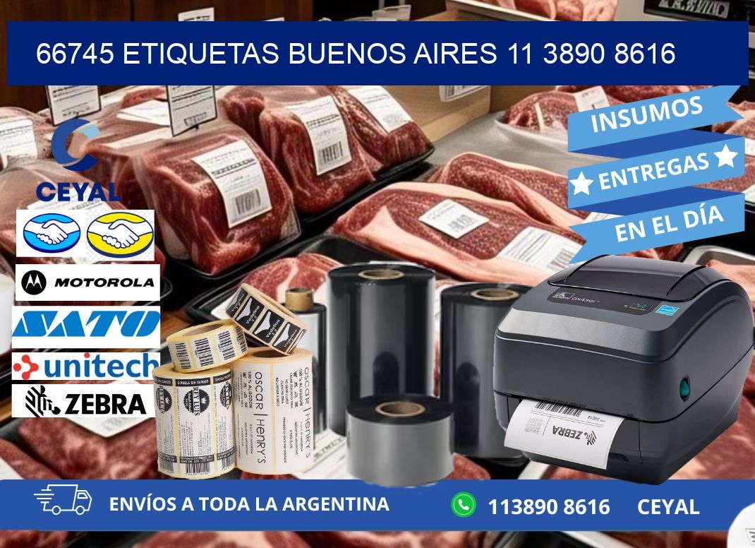 66745 ETIQUETAS BUENOS AIRES 11 3890 8616