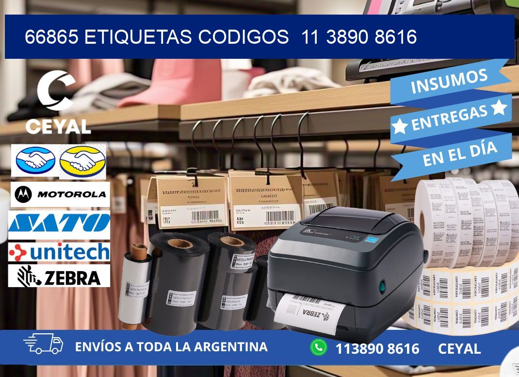 66865 ETIQUETAS CODIGOS  11 3890 8616