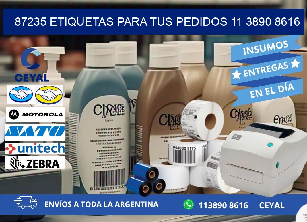 87235 ETIQUETAS PARA TUS PEDIDOS 11 3890 8616