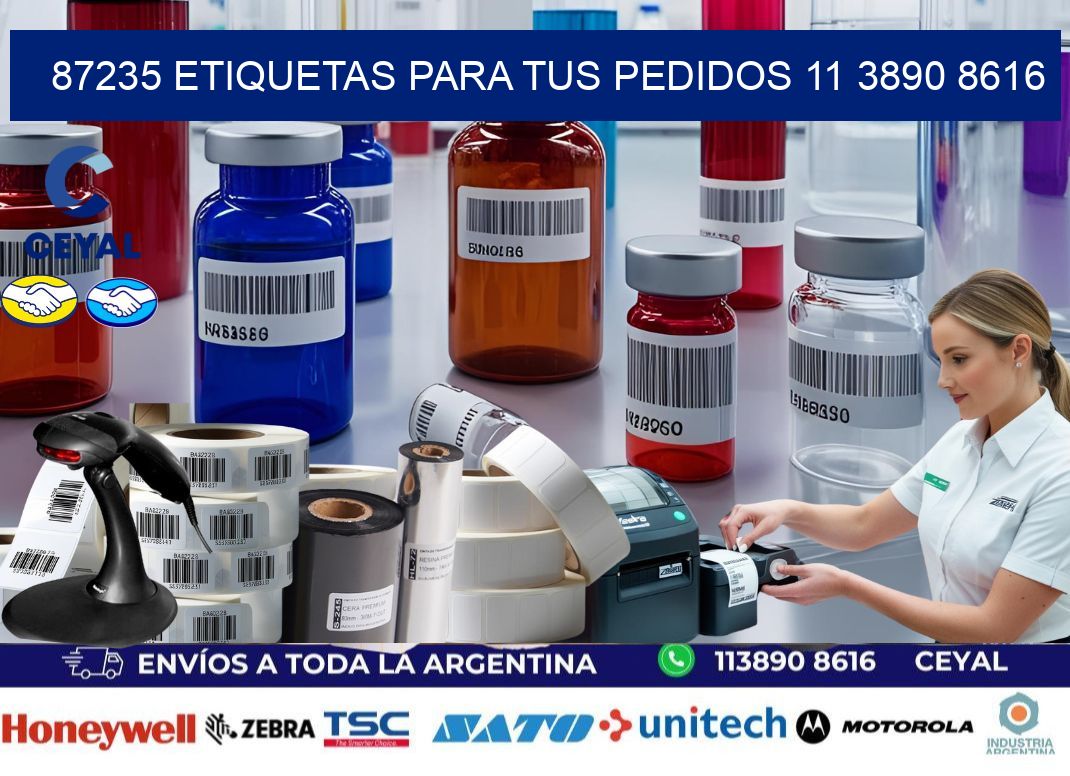87235 ETIQUETAS PARA TUS PEDIDOS 11 3890 8616