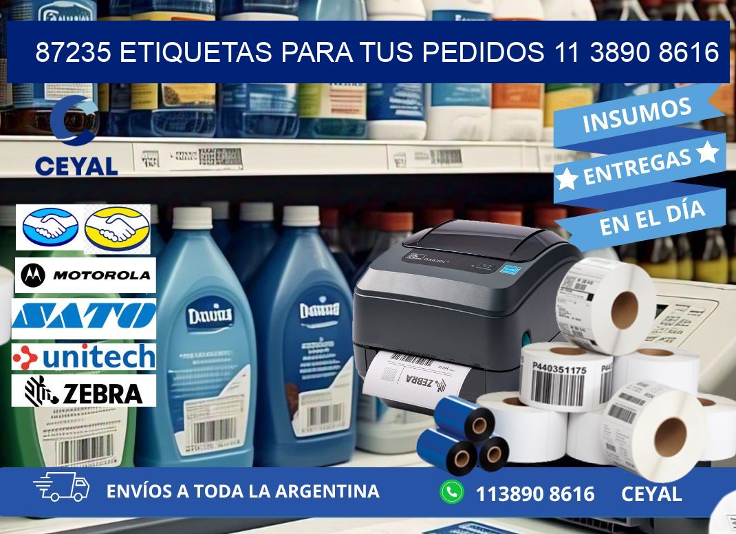 87235 ETIQUETAS PARA TUS PEDIDOS 11 3890 8616