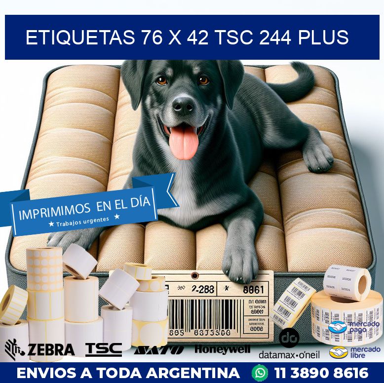 ETIQUETAS 76 x 42 TSC 244 PLUS