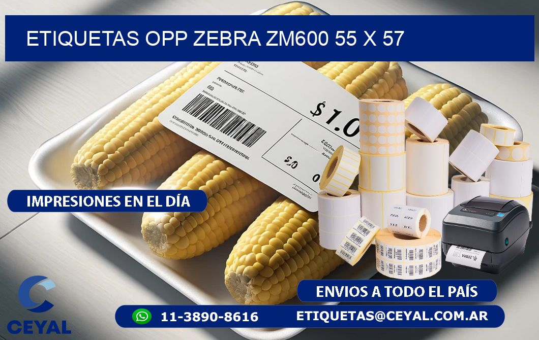 ETIQUETAS OPP ZEBRA ZM600 55 x 57