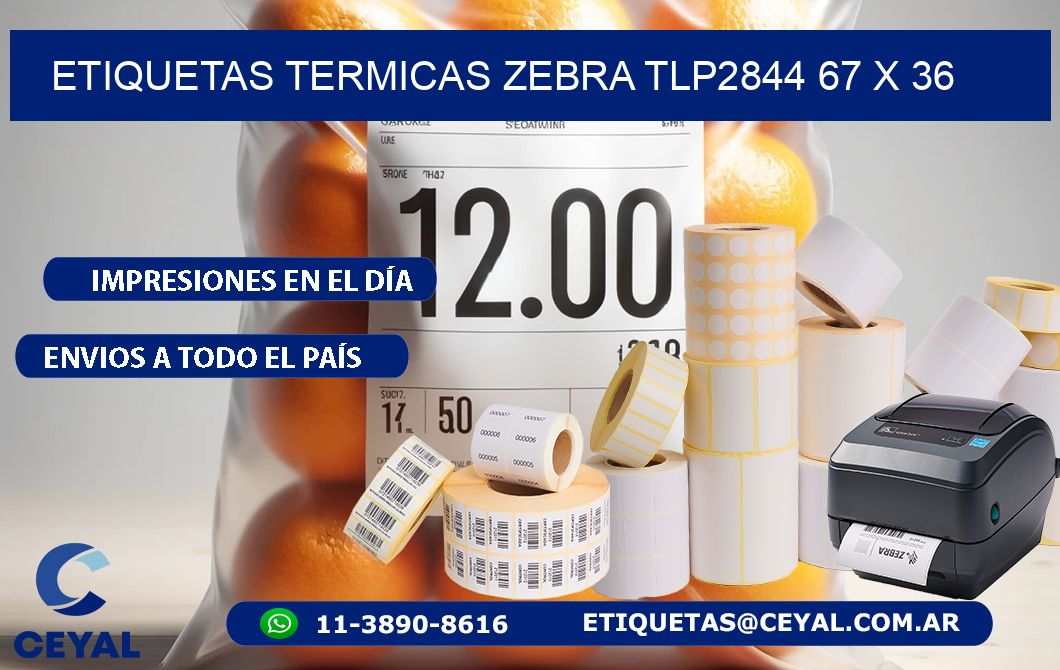 ETIQUETAS TERMICAS ZEBRA TLP2844 67 x 36
