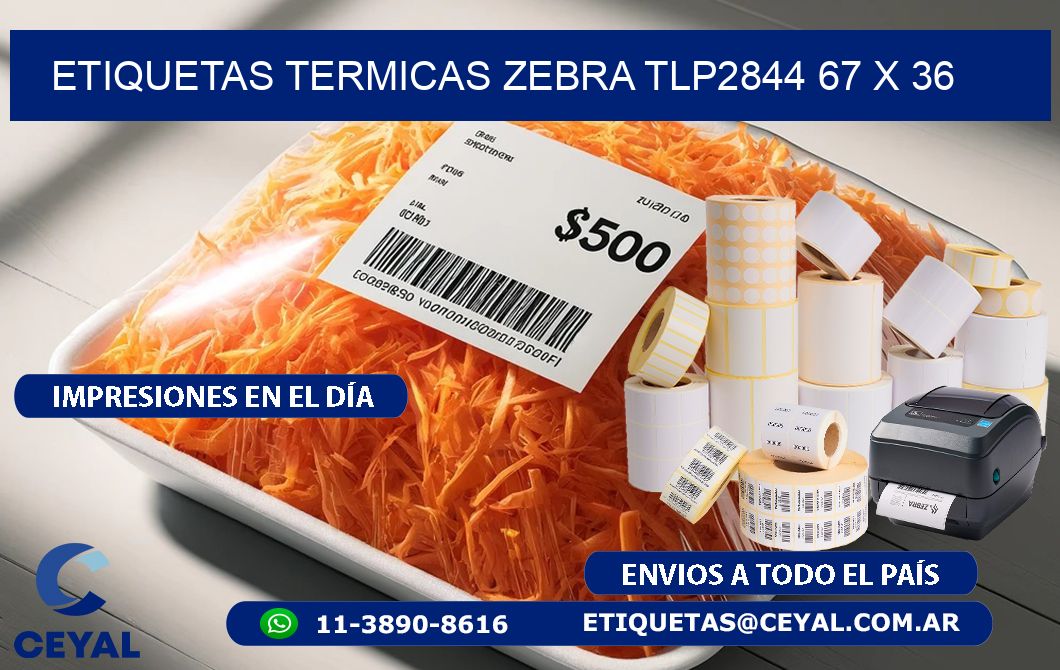 ETIQUETAS TERMICAS ZEBRA TLP2844 67 x 36