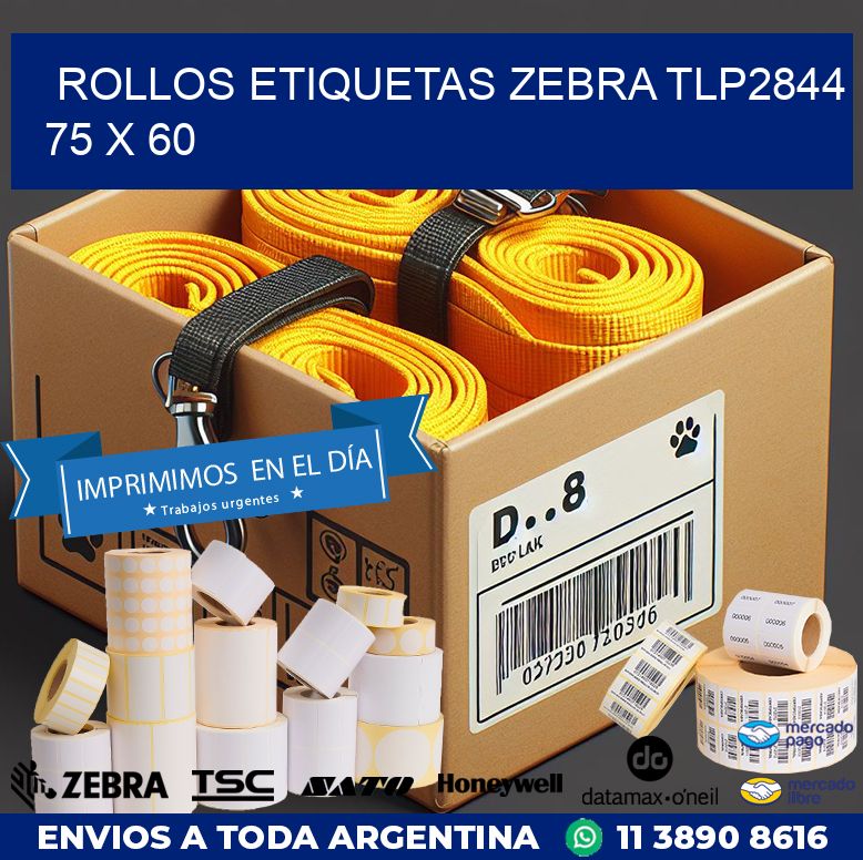 ROLLOS ETIQUETAS Zebra TLP2844 75 x 60