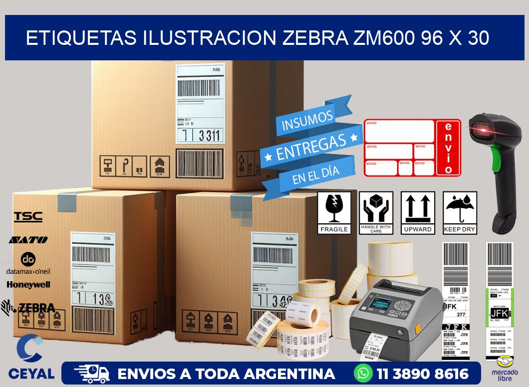 ETIQUETAS ILUSTRACION ZEBRA ZM600 96 x 30