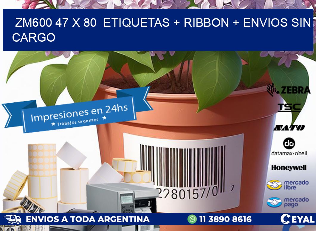 ZM600 47 x 80  etiquetas + ribbon + envios sin cargo