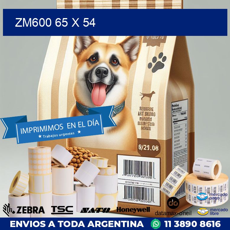 ZM600 65 x 54
