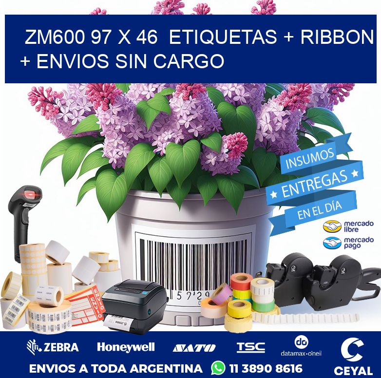 ZM600 97 x 46  etiquetas + ribbon + envios sin cargo