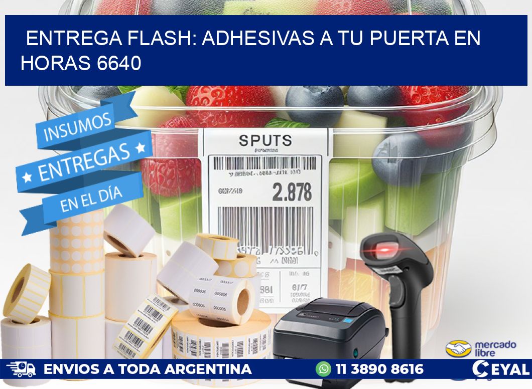 Entrega Flash: Adhesivas A Tu Puerta en Horas 6640