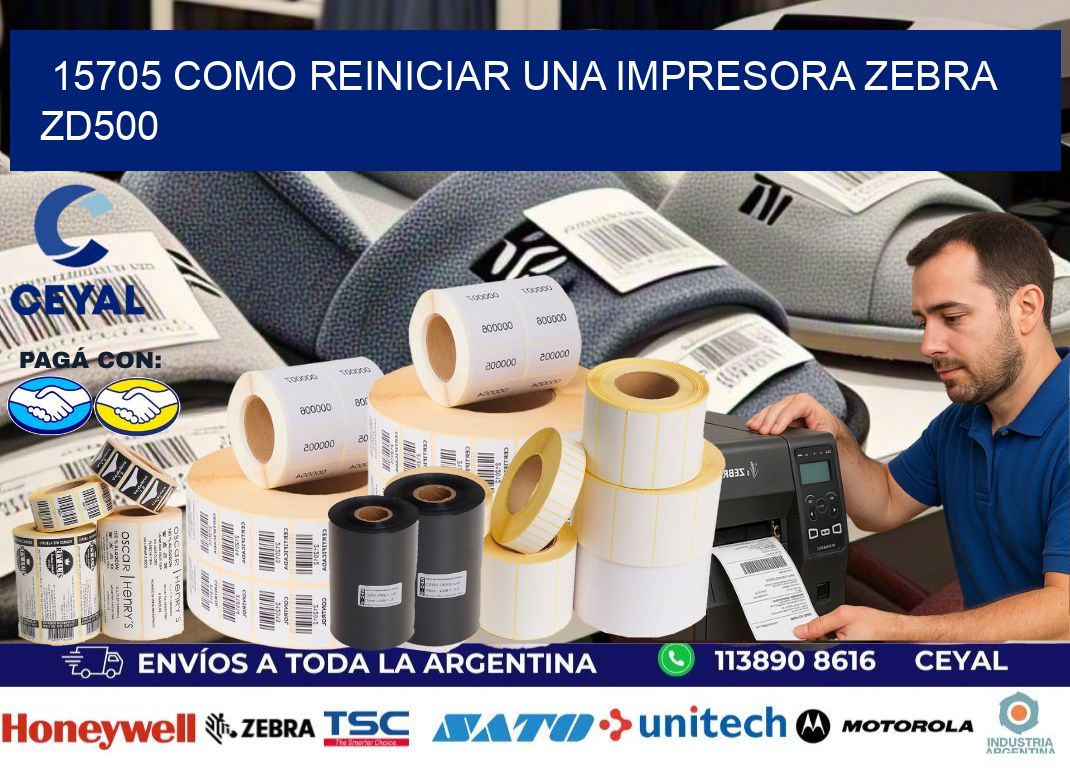 15705 Como reiniciar una impresora Zebra  ZD500