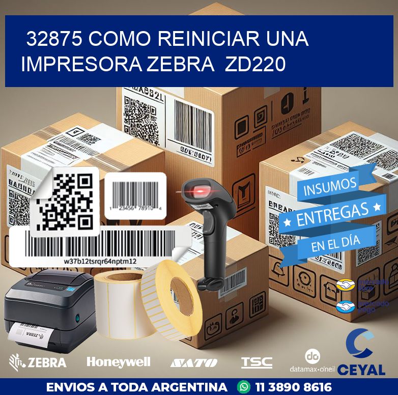 32875 Como reiniciar una impresora Zebra  ZD220