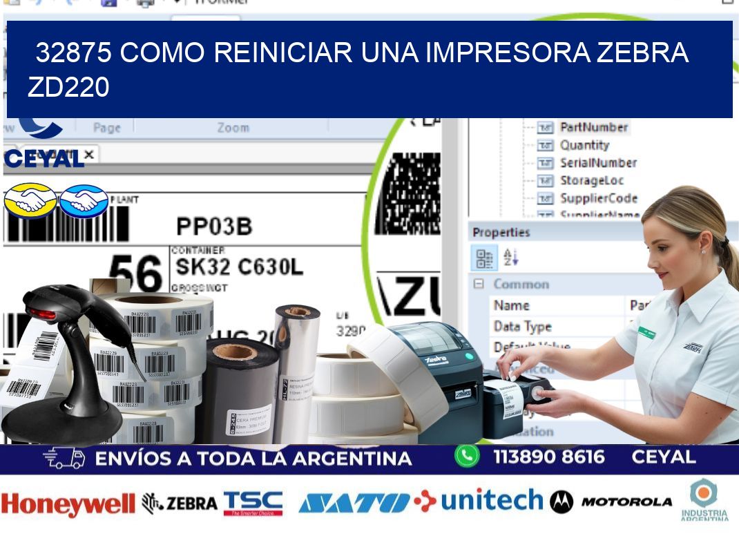 32875 Como reiniciar una impresora Zebra  ZD220