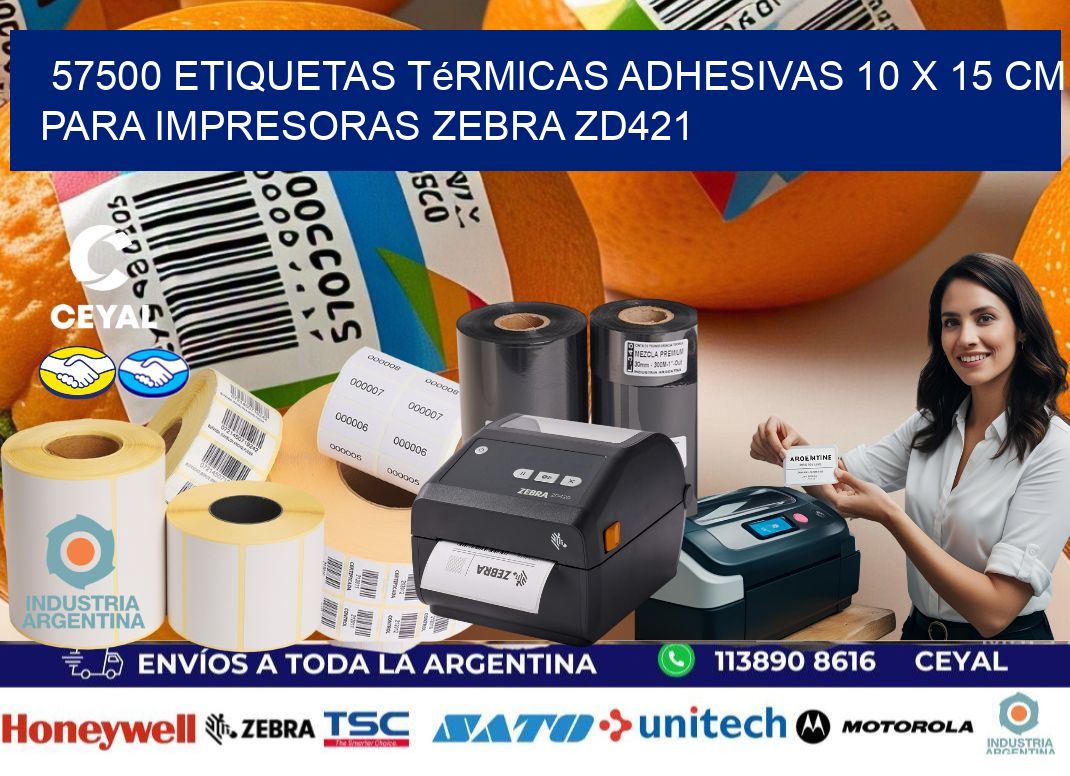 57500 Etiquetas Térmicas Adhesivas 10 x 15 cm para Impresoras Zebra ZD421