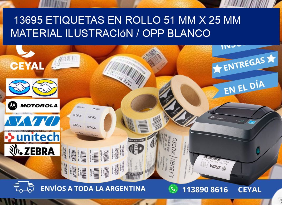 13695 Etiquetas en rollo 51 mm x 25 mm material Ilustración / OPP Blanco