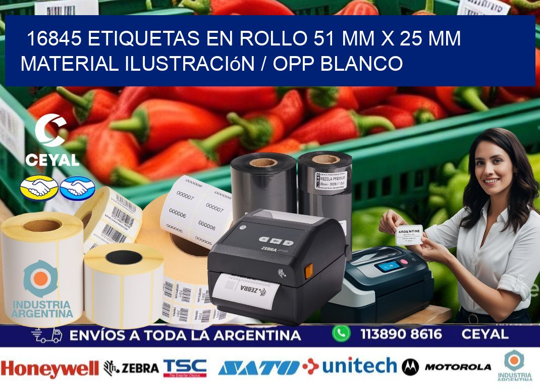 16845 Etiquetas en rollo 51 mm x 25 mm material Ilustración / OPP Blanco