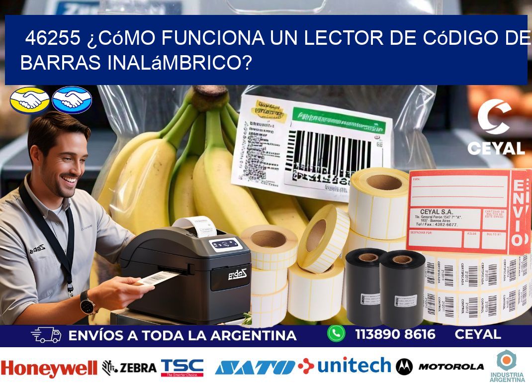 46255 ¿Cómo funciona un lector de código de barras inalámbrico?