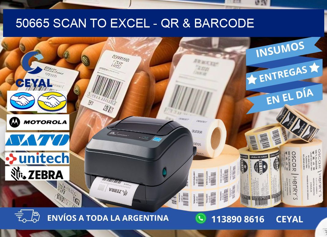 50665 Scan to Excel - QR & Barcode