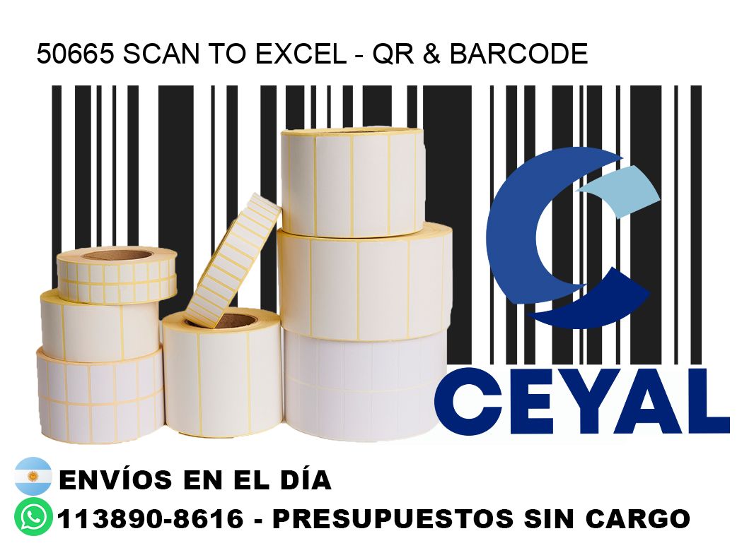 50665 Scan to Excel – QR & Barcode