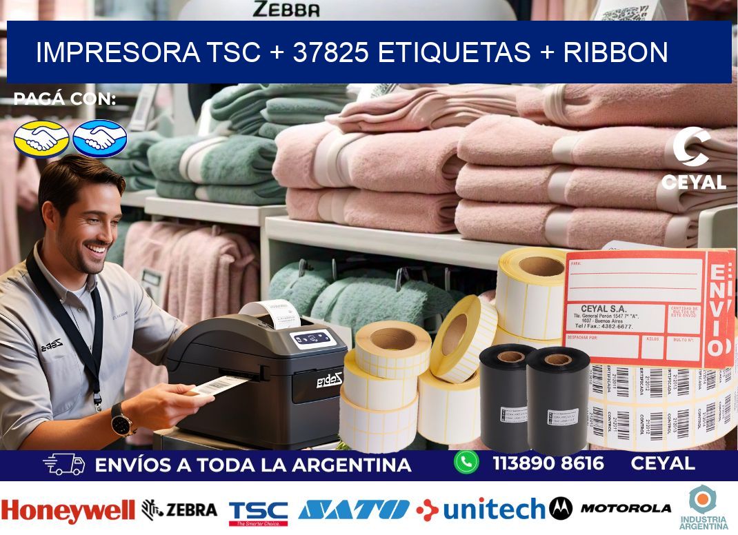impresora TSC + 37825 etiquetas + ribbon