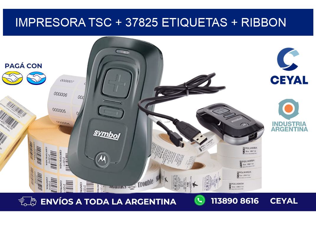 impresora TSC + 37825 etiquetas + ribbon