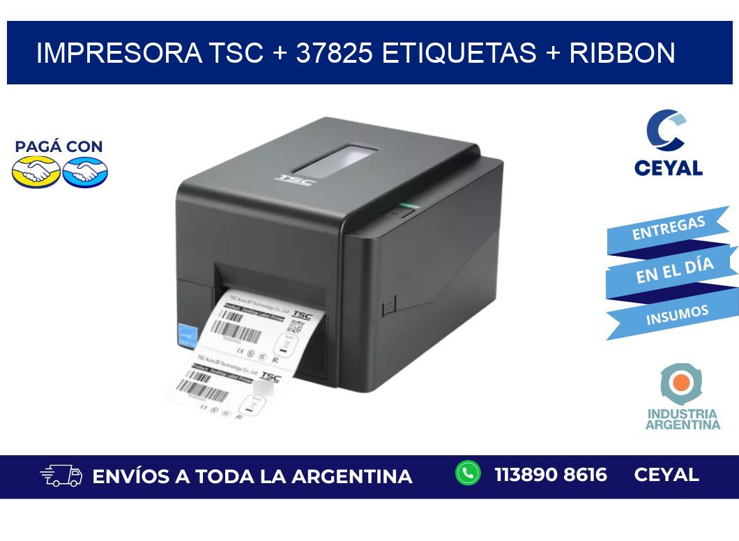 impresora TSC + 37825 etiquetas + ribbon