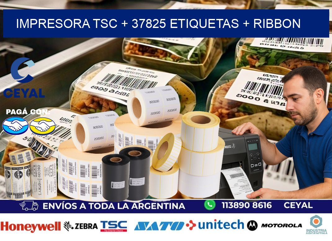 impresora TSC + 37825 etiquetas + ribbon