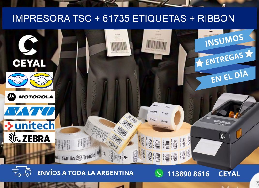 impresora TSC + 61735 etiquetas + ribbon