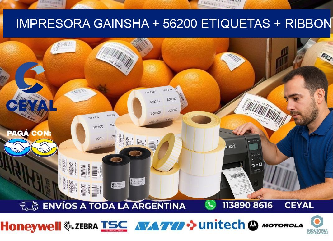 impresora gainsha + 56200 etiquetas + ribbon
