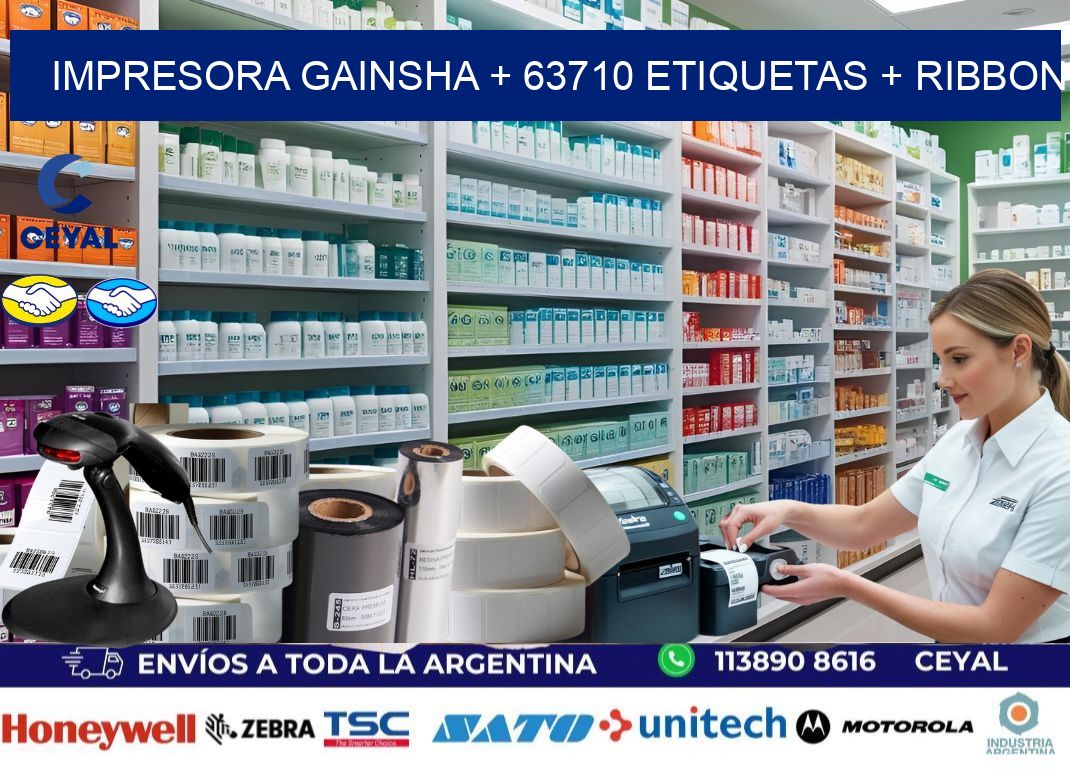 impresora gainsha + 63710 etiquetas + ribbon