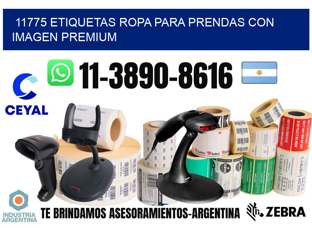 11775 Etiquetas ropa para prendas con imagen premium
