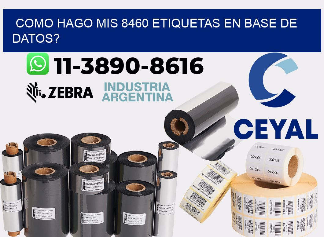 como hago mis 8460 etiquetas en base de datos?