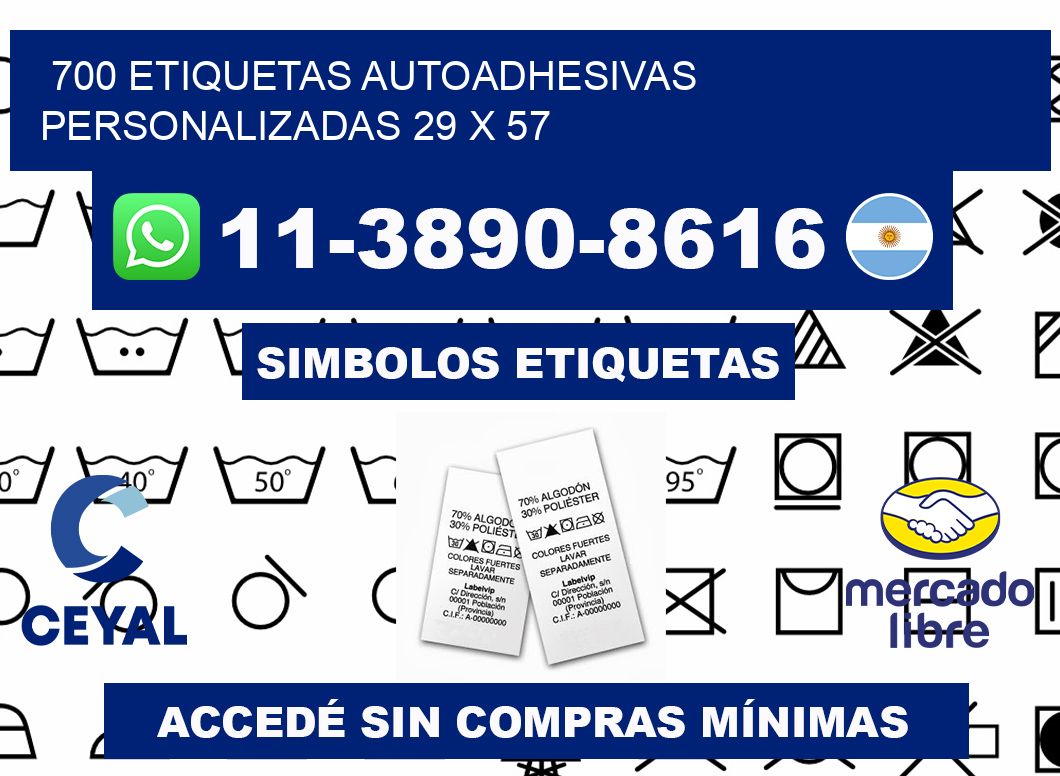 700 Etiquetas autoadhesivas personalizadas 29 x 57