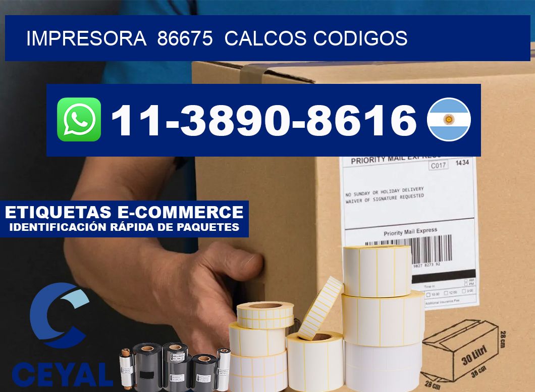impresora  86675  calcos codigos