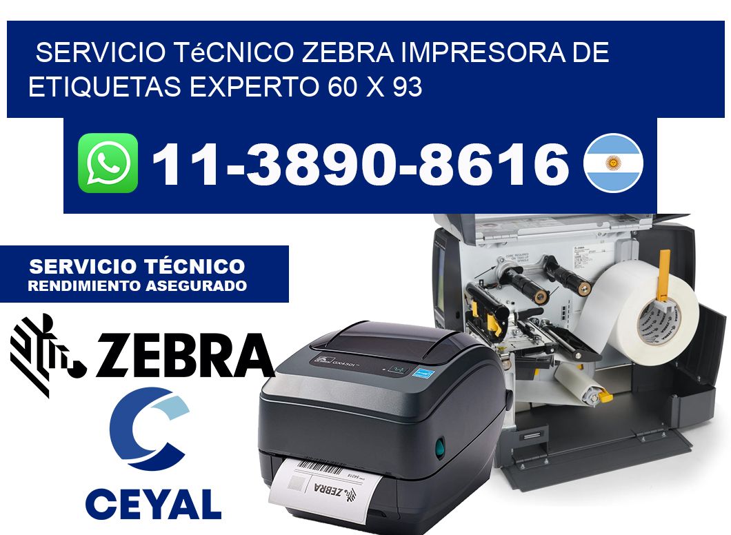 Servicio Técnico Zebra Impresora de Etiquetas Experto 60 x 93