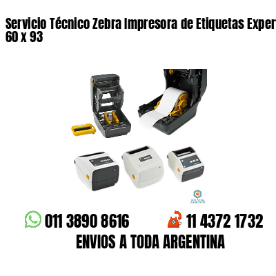 Servicio Técnico Zebra Impresora de Etiquetas Experto 60 x 93