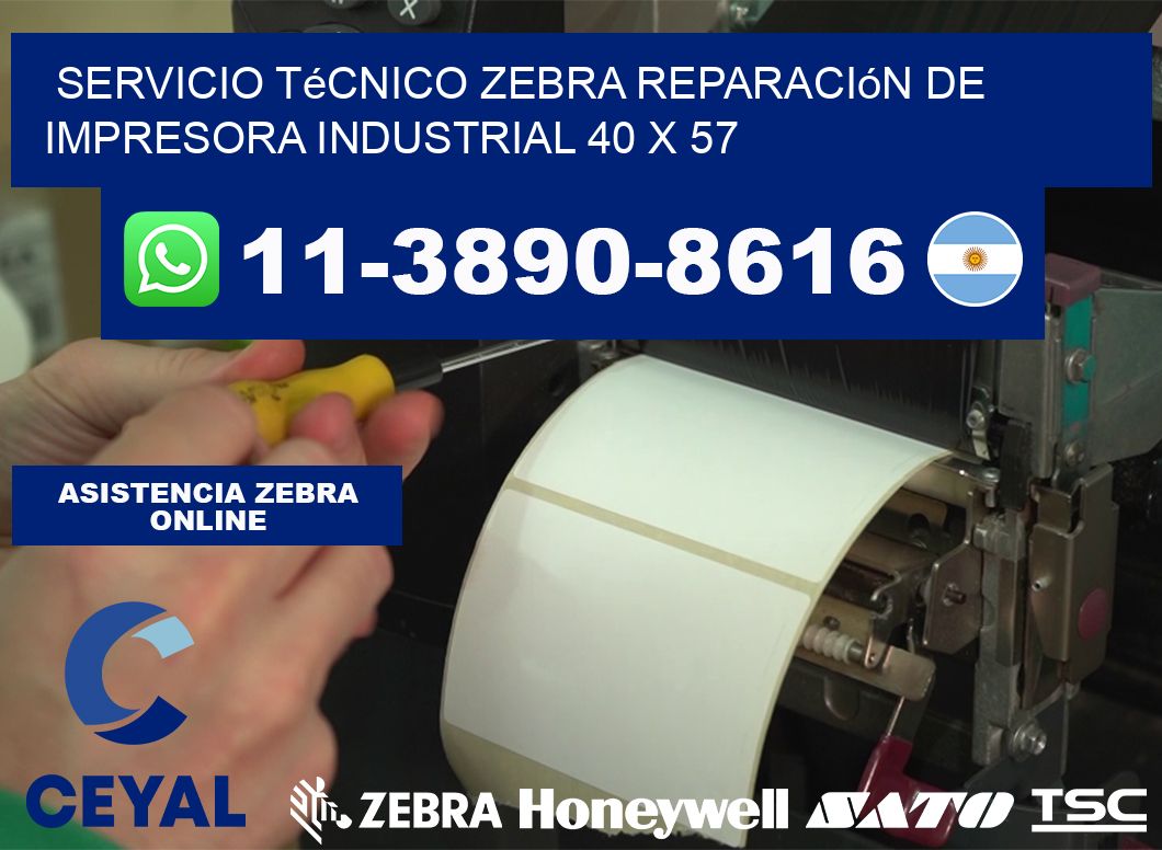 Servicio Técnico Zebra Reparación de Impresora Industrial 40 x 57