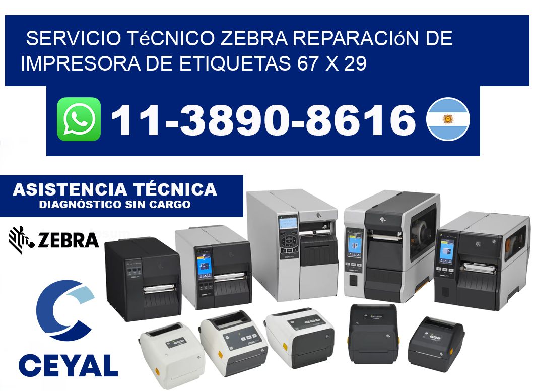 Servicio Técnico Zebra Reparación de Impresora de Etiquetas 67 x 29