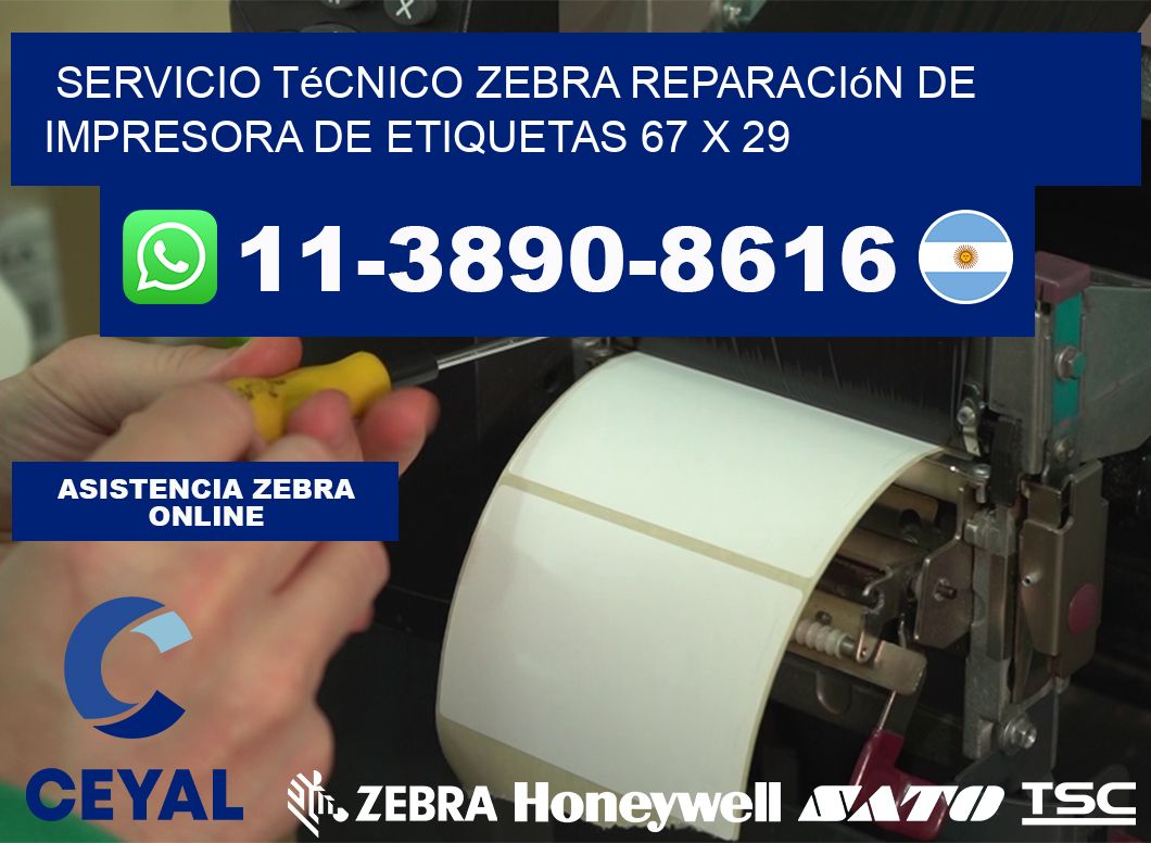 Servicio Técnico Zebra Reparación de Impresora de Etiquetas 67 x 29