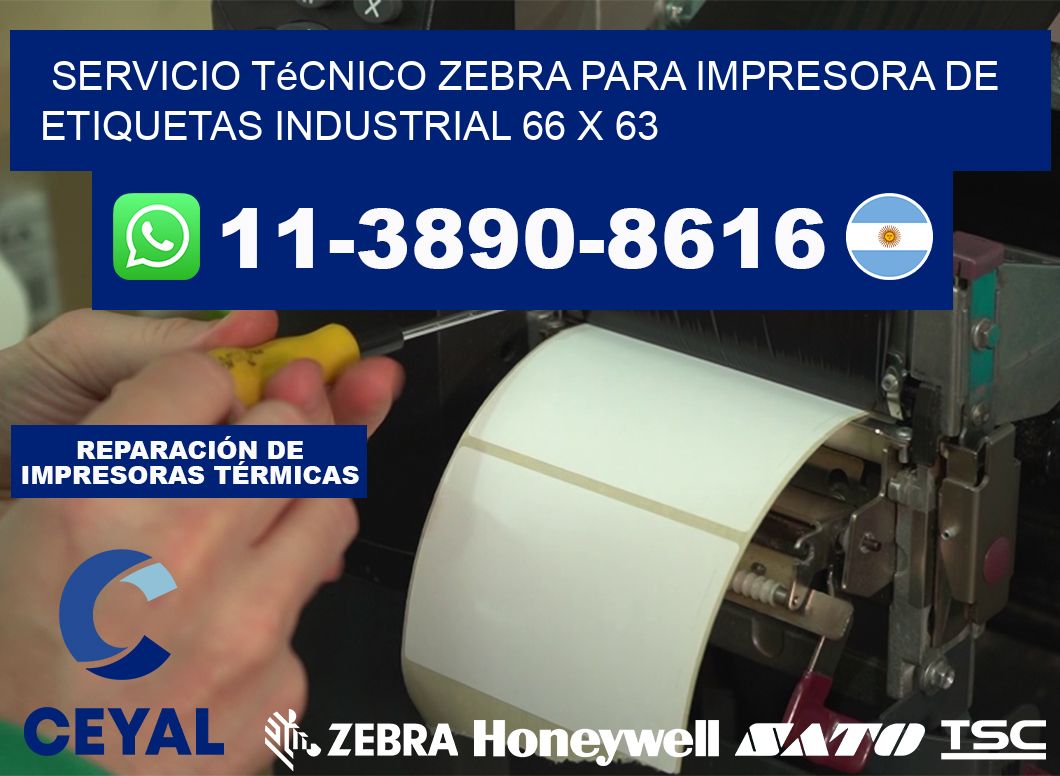 Servicio Técnico Zebra para Impresora de Etiquetas Industrial 66 x 63
