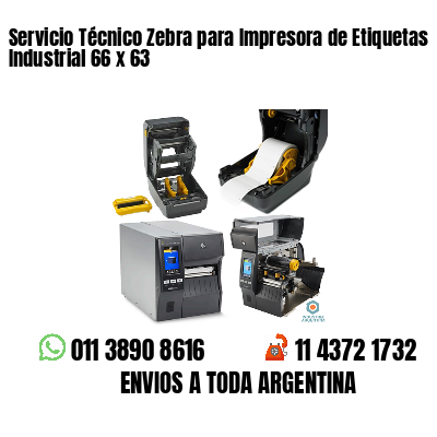 Servicio Técnico Zebra para Impresora de Etiquetas Industrial 66 x 63