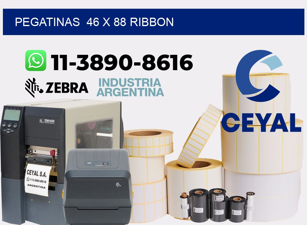 pegatinas 46 x 88 ribbon